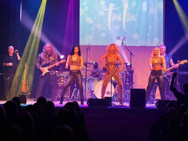 The full Tina Live production with the audience in the foreground